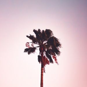 Meet your Posher, Gloria